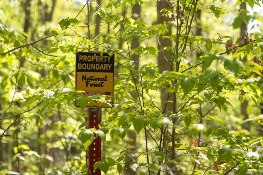 Federal Judge Halts Shawnee National Forest Logging Project Over Endangered Species Concerns Federal judge halts Shawnee National Forest logging project over endangered species concerns.